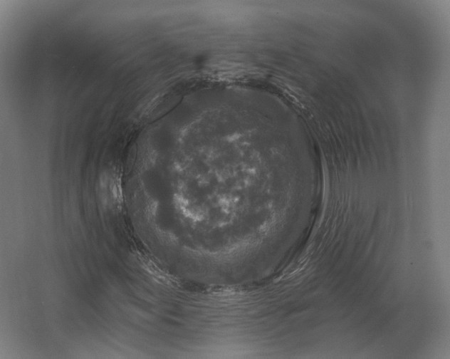 X0000067921155200604201423