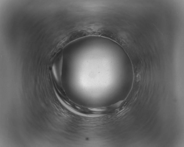 X0000067921156200604201423