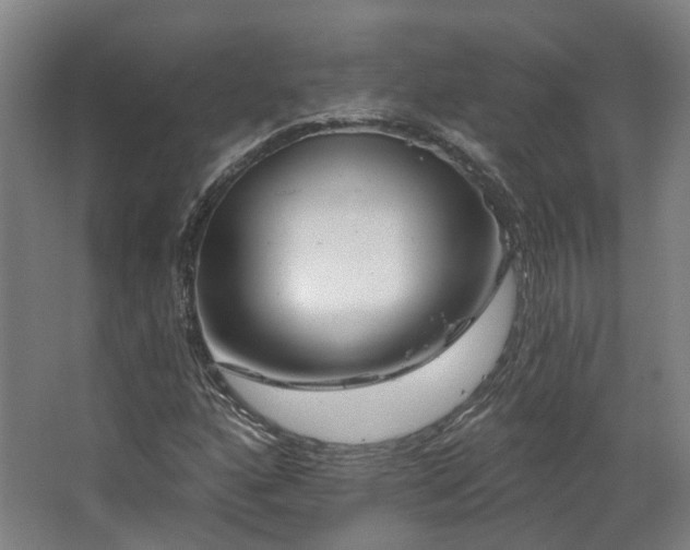X0000067921160200604201423