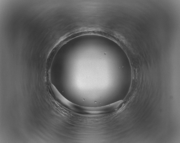 X0000067921165200604201423