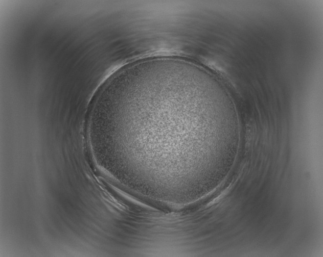 X0000067921170200604201423