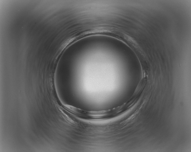X0000067921177200604201422