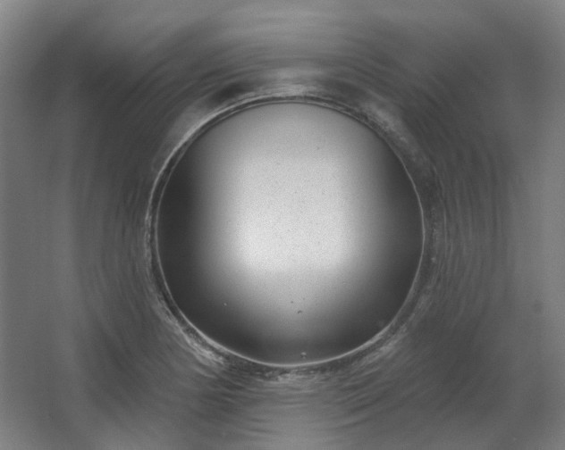X0000067921178200604201422