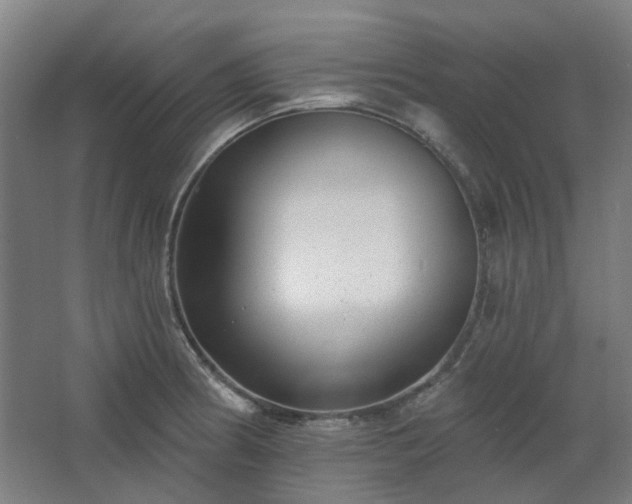 X0000067921186200604201422