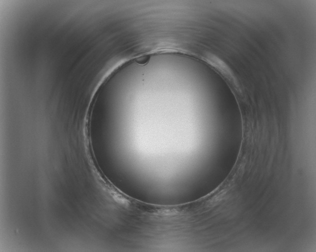 X0000067921190200604201422
