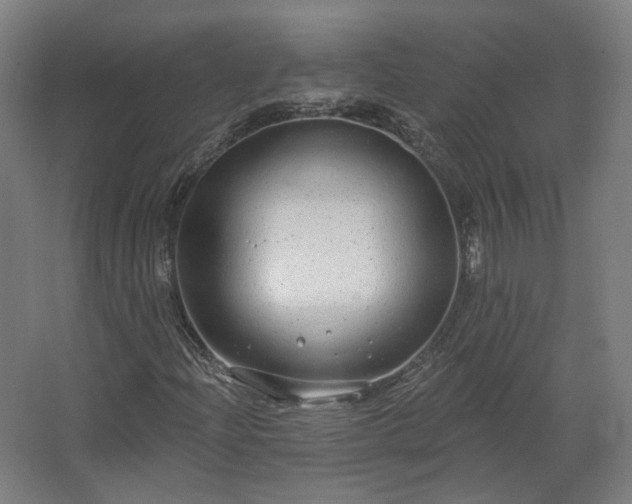 X0000067921204200604201421