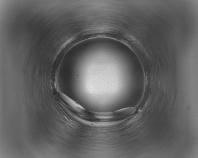 X0000067921210200604201421