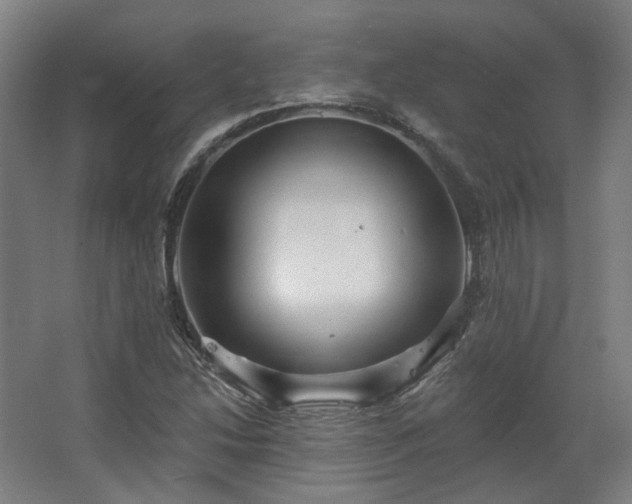 X0000067921214200604201421