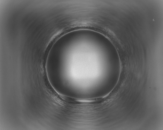 X0000067921218200604201422