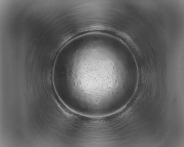 X0000067921225200604201422