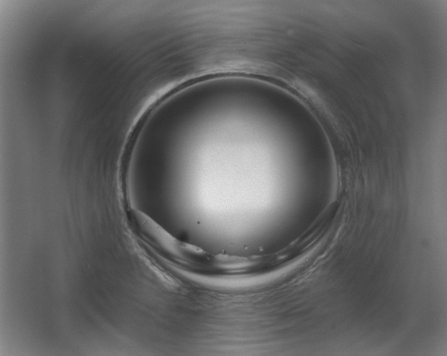 X0000067921230200604201422