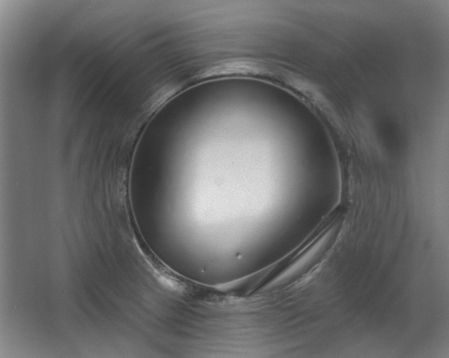 X0000067921233200604201422