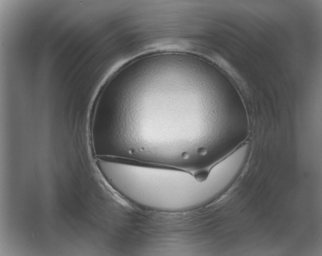 X0000067921240200604201422