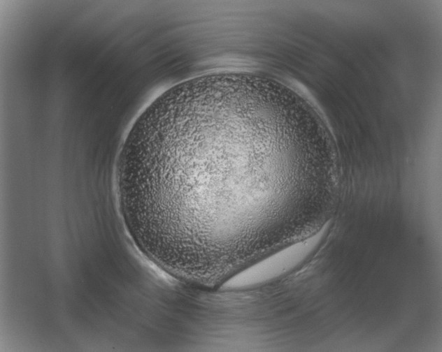 X0000067921243200604201422