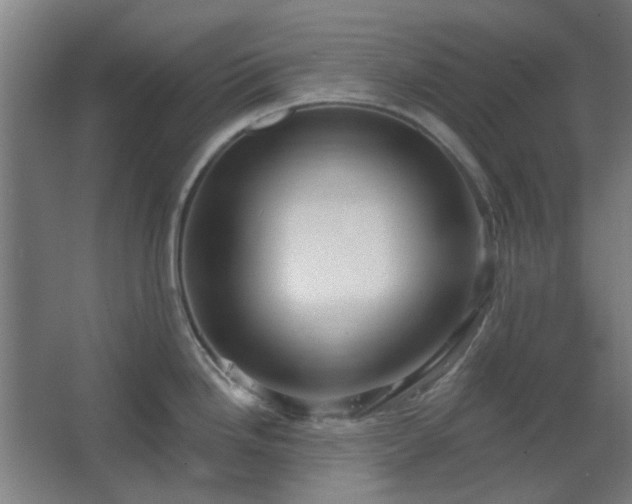 X0000067921246200604201422