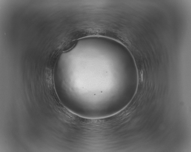 X0000067921251200604201421