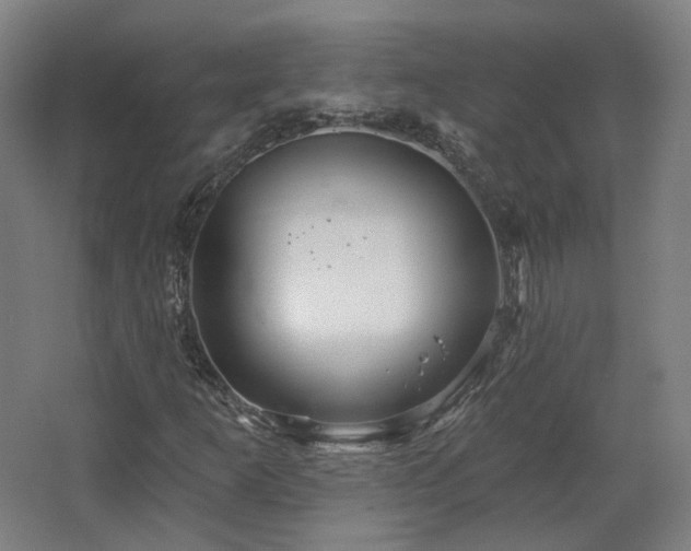 X0000067921253200604201421