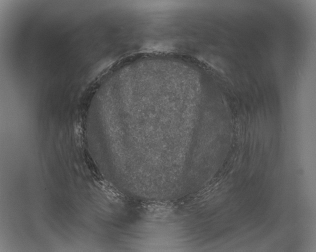 X0000067921254200604201421