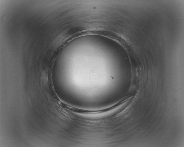 X0000067921257200604201421