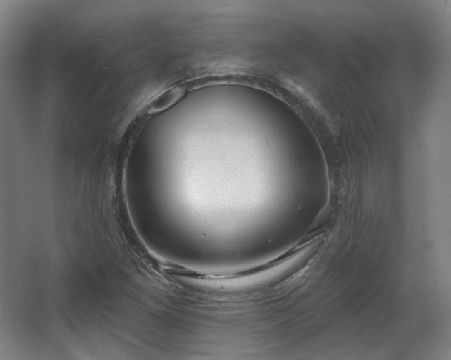 X0000067921261200604201421