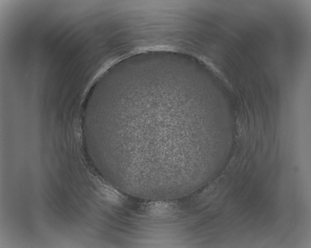 X0000067921266200604201421