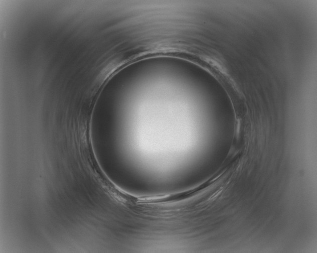 X0000067921273200604201421