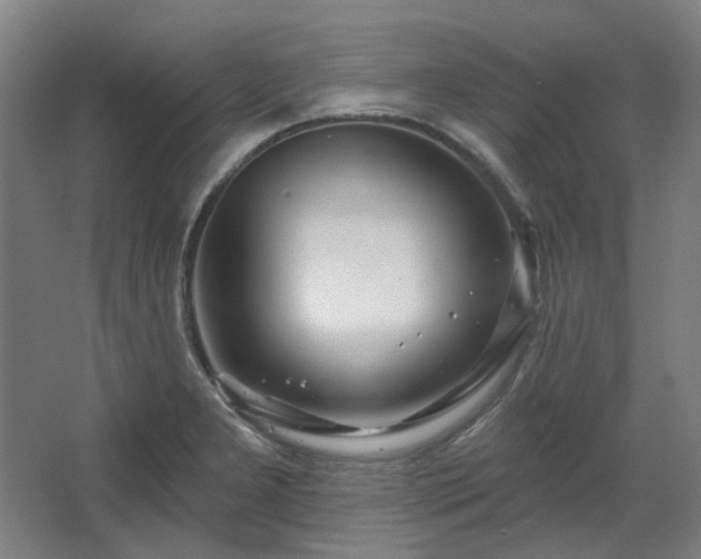 X0000067921277200604201421