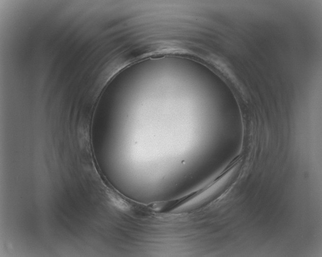 X0000067921281200604201421