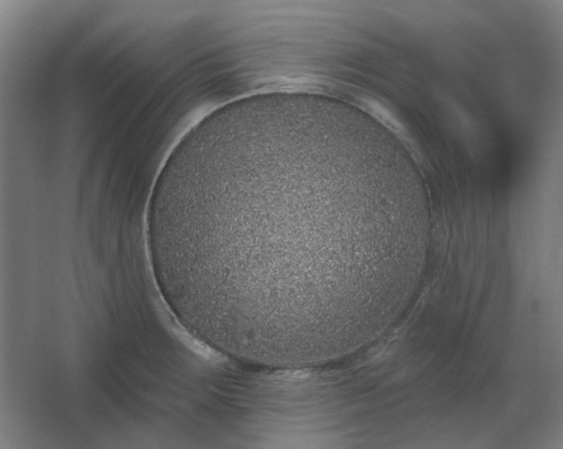 X0000067921283200604201421