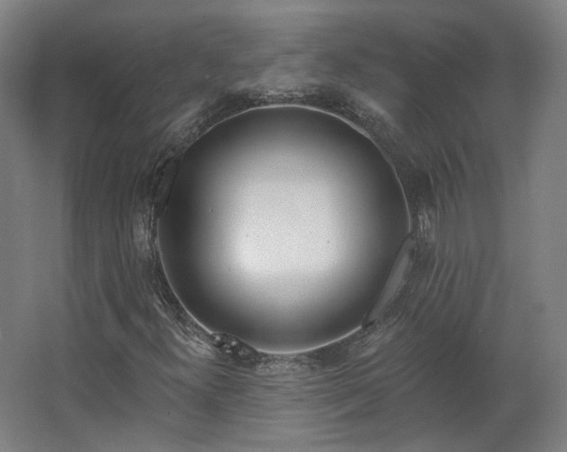 X0000067921300200604201420