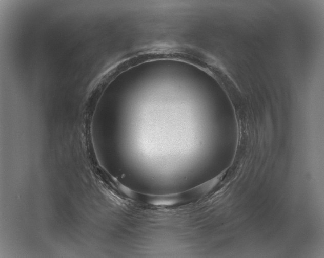 X0000067921304200604201420