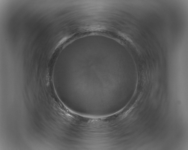 X0000067921306200604201420
