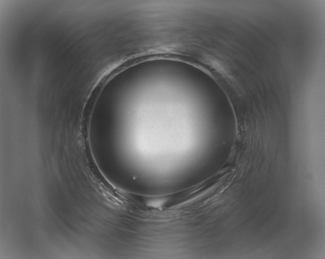 X0000067921308200604201420