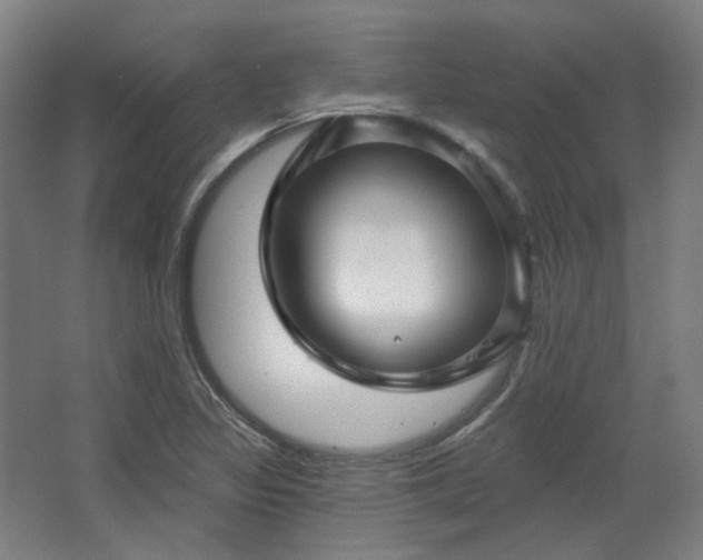 X0000067921317200604201420