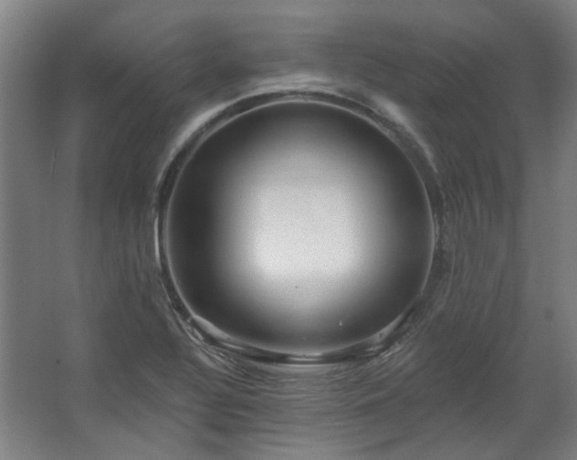 X0000067921320200604201420