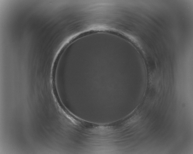 X0000067921327200604201420