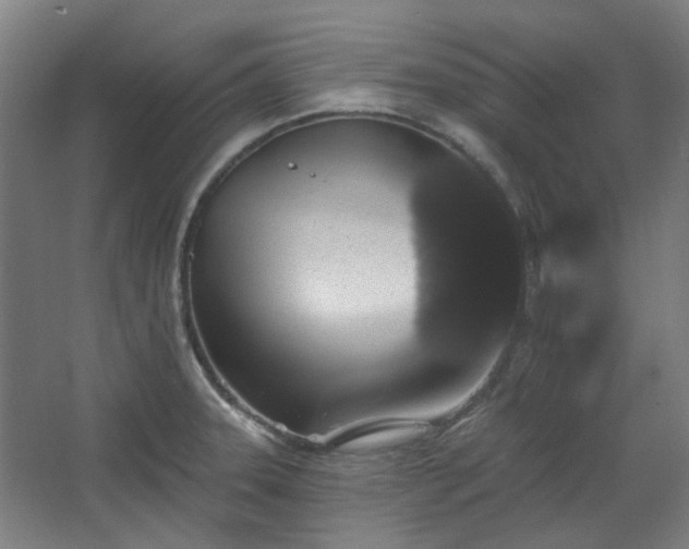 X0000067921331200604201420