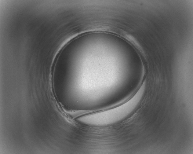 X0000067921332200604201420
