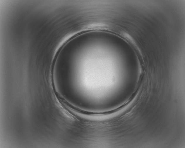 X0000067921336200604201420
