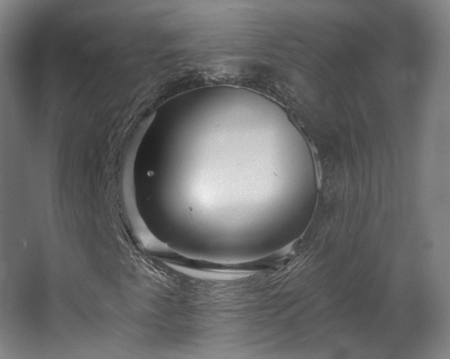 X0000067921345200604201420