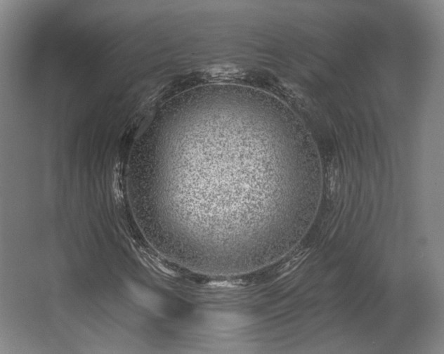 X0000067921346200604201420