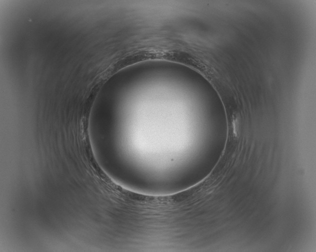 X0000067921347200604201420