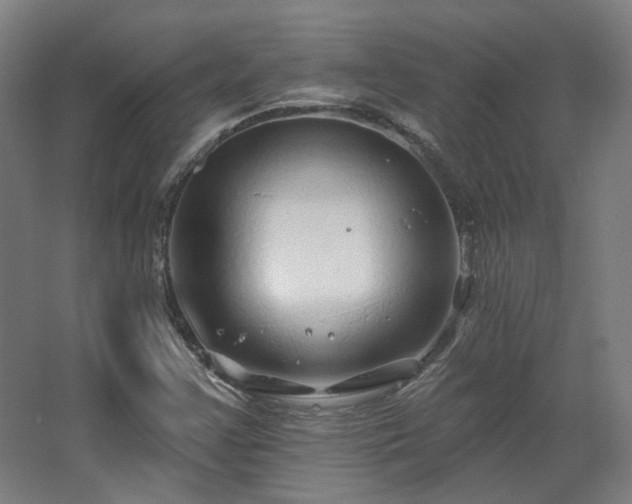 X0000067921355200604201419