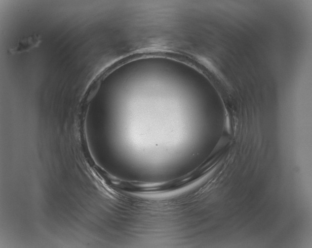 X0000067921356200604201419