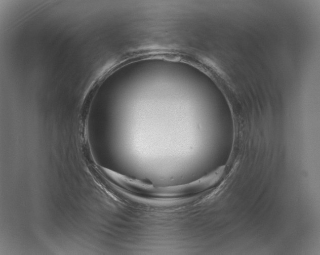 X0000067921357200604201419