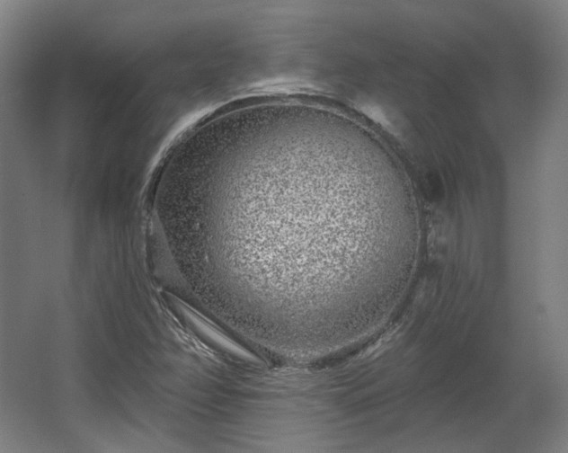 X0000067921358200604201419
