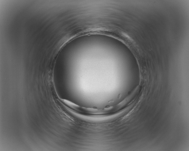 X0000067921361200604201419