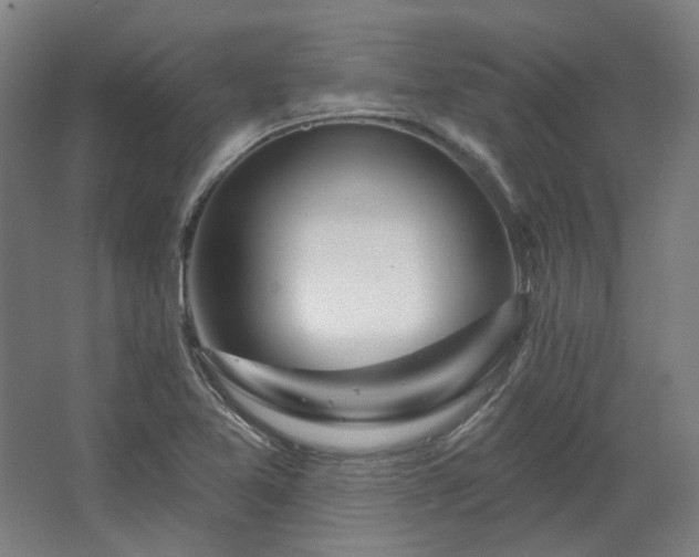 X0000067921365200604201419