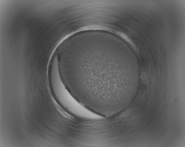 X0000067921372200604201419