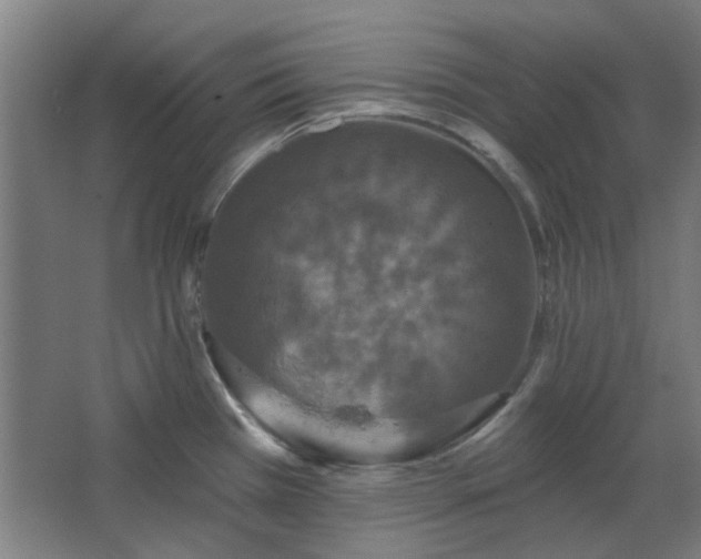 X0000067921385200604201419